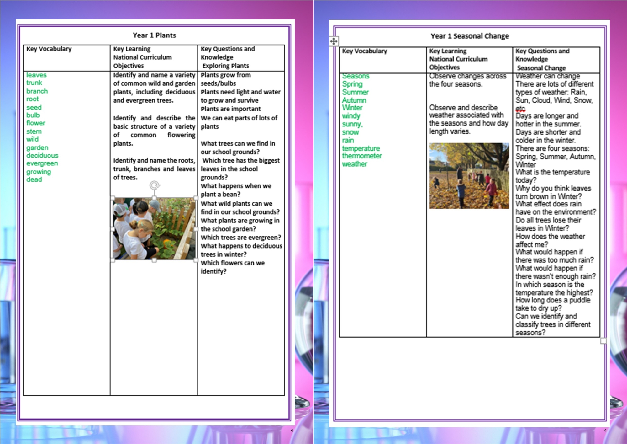 Bawnmore Community Infant School - Science